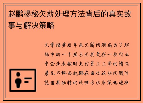赵鹏揭秘欠薪处理方法背后的真实故事与解决策略